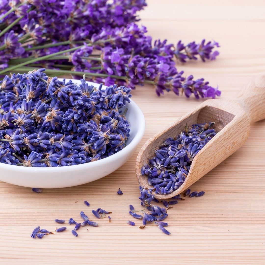 Lavender