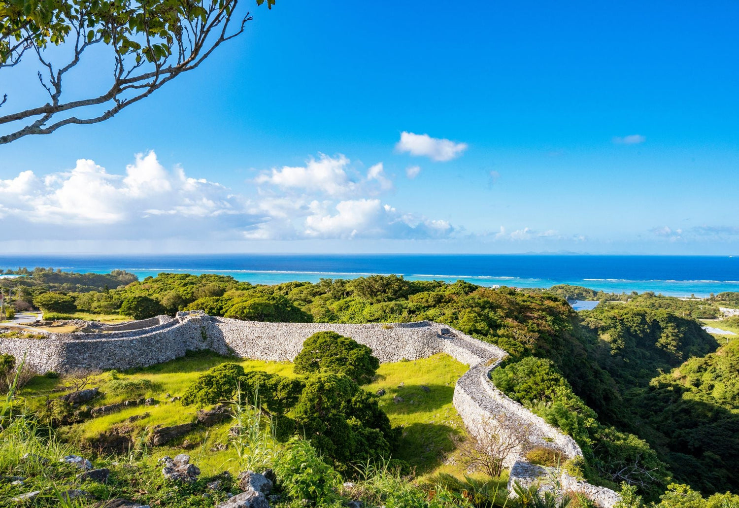 沖縄コレクション - Okinawa Collection