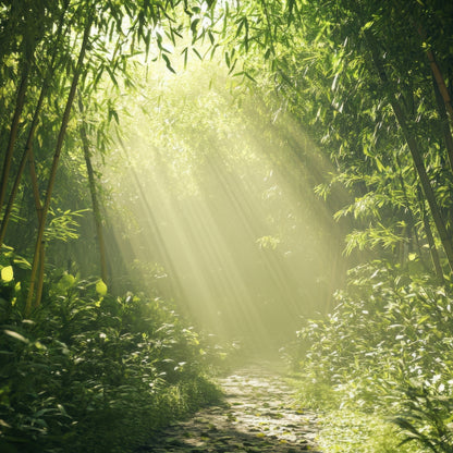 Bamboo Echo Fragrance oil