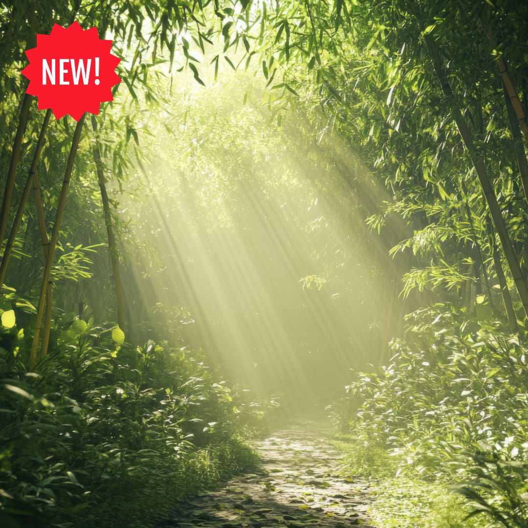 Bamboo-Echo-fragrance