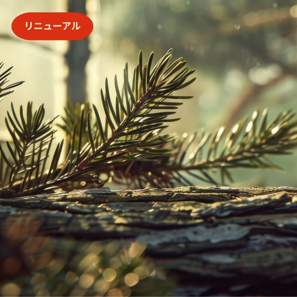 Cedar & Bergamot｜スギ＆ベルガモット(リニューアル) – Earth & Pure