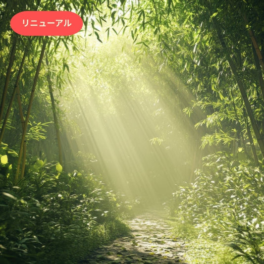 Bamboo Echo｜竹の木霊（こだま）(リニューアル)