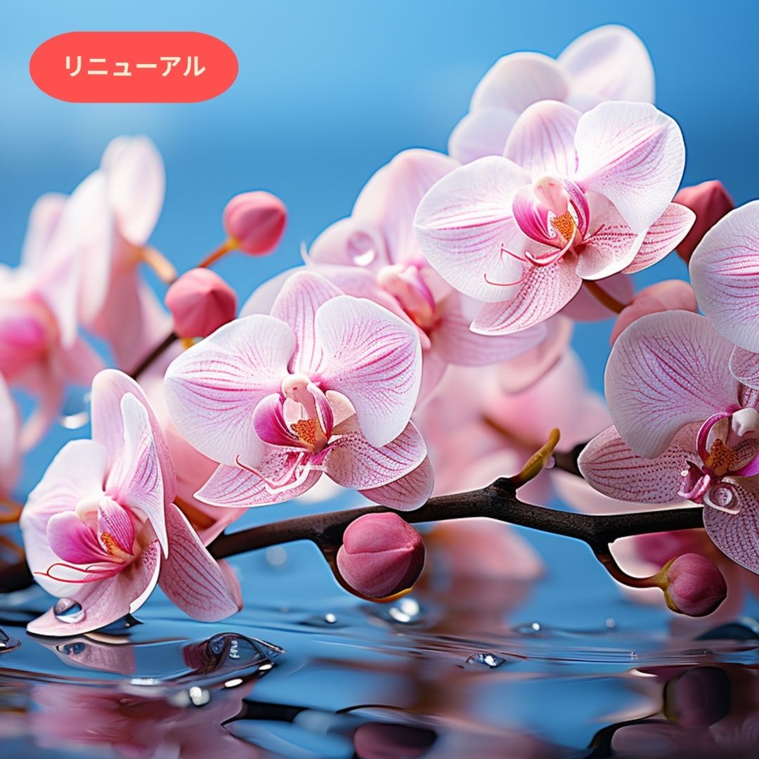 フレグランスオイル - Fragrance oil – Earth & Pure