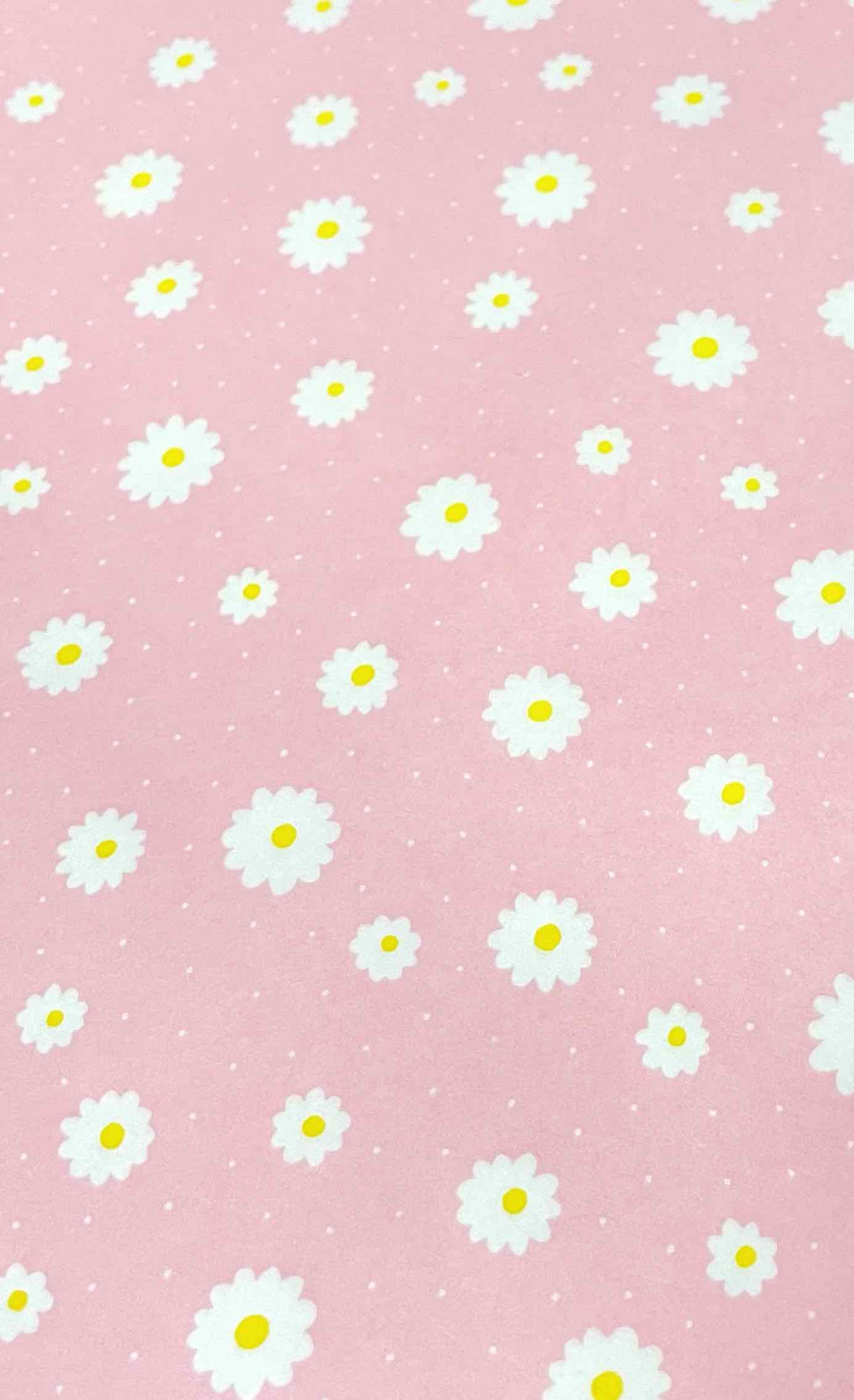 Gift Wrap
